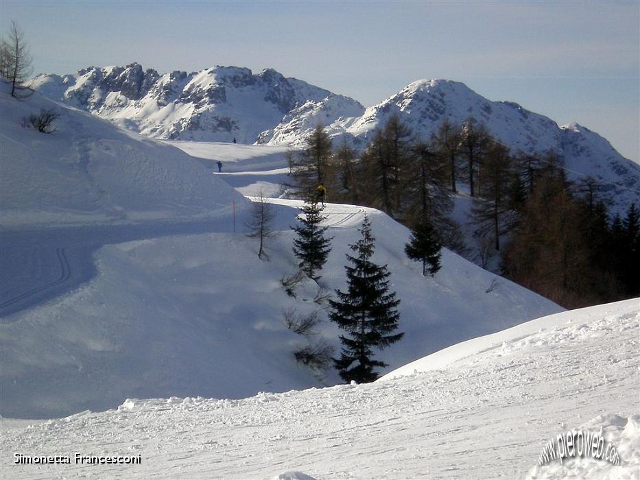 04 PISTA DI SCI DI FONDO.JPG